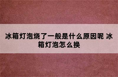 冰箱灯泡烧了一般是什么原因呢 冰箱灯泡怎么换